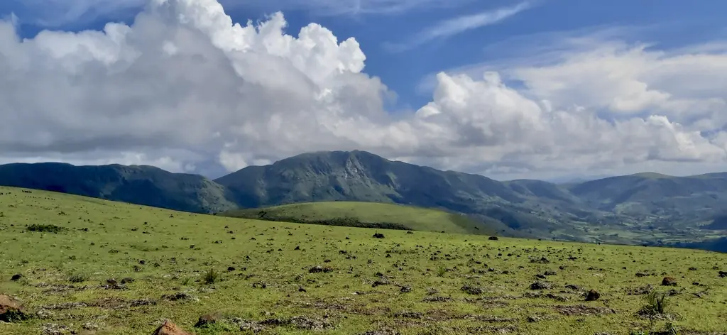 Grassy hilltop meadows of Deomali near Koraput