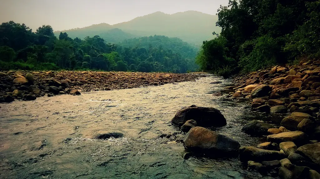 Palpala river flowing through the forests of Similipal National Park